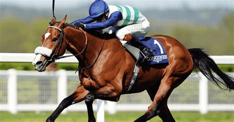 ascot gold cup betting